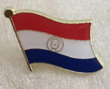 Paraguay Wavy Lapel Pin - $9.98