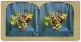 Stereo View Card Stereograph A Bunch Of Nasturtiums - £3.90 GBP