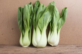 4000+ Chinese White Stem Pak Choi Bok Choy Chinese Cabbage Non-GMO Vegetable See - £14.83 GBP