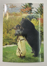 Greetings from My Favorite Caddy Postcard Grandfather Mountain - £1.86 GBP