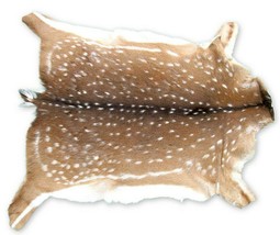 Axis Deer Skin Hide Average Size: 37&quot; X 30&quot; Top Grade Axis Deer Hide Top Grade - £208.19 GBP