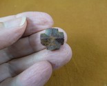 (CR592-107) 9/16&quot; Fairy Stone CHRISTIAN CROSS oiled Staurolite Crystal M... - $14.95