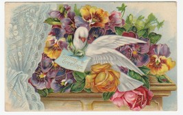 Vintage Postcard Birthday Dove and Flowers Pansies and Roses Gold Trim 1908 - £7.15 GBP