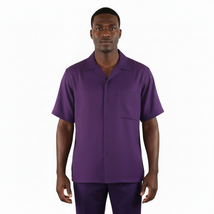 Men 2pc Walking Leisure Suit Short Sleeves By DREAMS 256-19 Solid Purple image 6