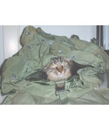 US Army LC-1 &quot;ALICE&quot; pack, LARGE-size; DJ Manufacturing Corp circa 2001 ... - €47,43 EUR