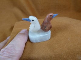 (Y-BIR-SO-401) pair of Songbirds tan + white love bird gemstone STONE ge... - £13.33 GBP