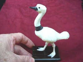 (TN-BIR-OS-128-A) Ostrich bird I love Ostriches TAGUA NUT Figurine carvi... - $51.93