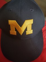 Vtg University of Michigan Ball Cap Wolverines Baseball Trucker Hat Annco - £9.16 GBP