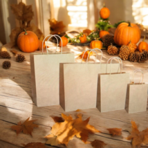 120 ct Mixed Paper Bags- 4 Sizes (10 of each)- Kraft Brown-Gift, Retail, Bulk - $1.00+