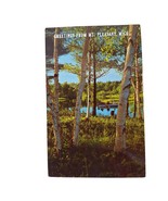 Postcard Greetings From Mt Pleasant Michigan Placid Waters Birch Lined S... - $4.84