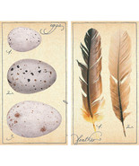 HomArt Large Decorative Fine Feathers Matches - £5.77 GBP