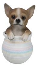 Pet Taco Chihuahua Teacup Puppy Dog Figurine With Glass Eyes Pup In Pot - £19.58 GBP