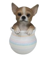 Pet Taco Chihuahua Teacup Puppy Dog Figurine With Glass Eyes Pup In Pot - €21,44 EUR