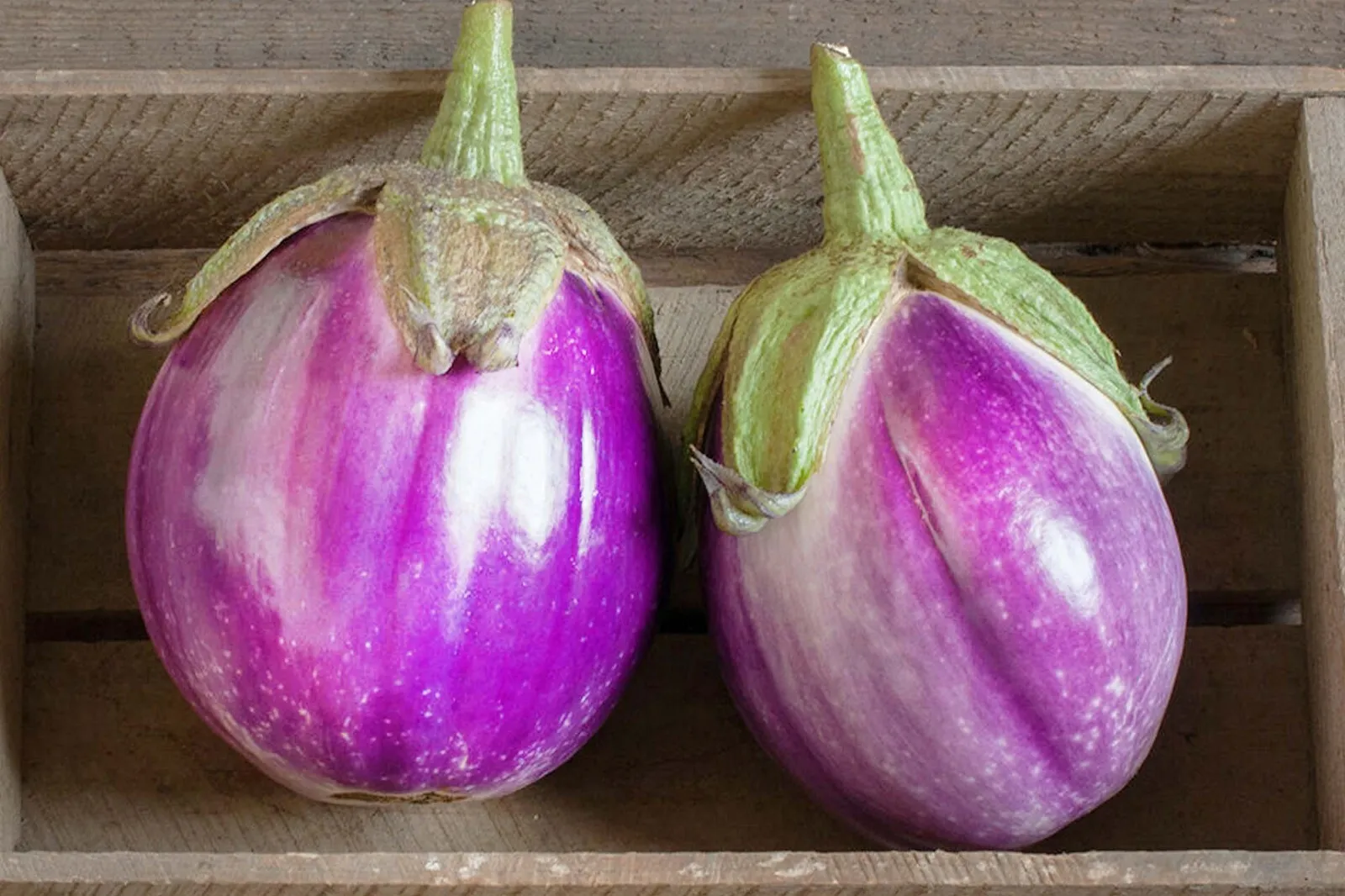 RJH 35 Fresh Authentic Rosa Bianca Premium Eggplant Seeds - £5.89 GBP