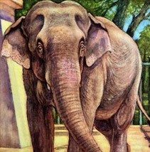 African Elephant 1954 Art Print Paul Bransom Marlin Perkins Zooparade DWDD3 - £39.84 GBP