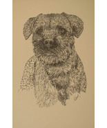 Border Terrier Dog Art Print #47 Stephen Kline adds your dogs name free.... - £39.92 GBP