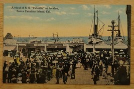 Vintage Postcard California Arrival SS Cabrillo Avalon Santa Catalina Port Wharf - £8.58 GBP
