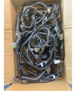 5L8T-14405-J4CPB Ford Escape Body Harness 2005 - $55.00