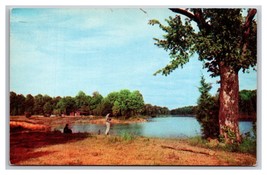 Shelby Forest State Park Lucy Tennessee TN UNP Chrome Postcard N25 - $3.03