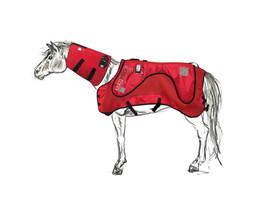 MagPro Plus Blanket &amp; PEMF Neck Part Sport Innovations - £3,035.91 GBP