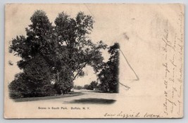 Buffalo NY Scene in South Park Plattsville Wis to Newton KS Postcard E30 - £4.78 GBP