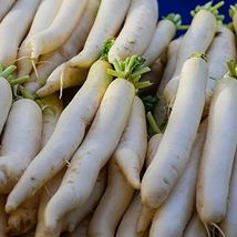 Miyashige Daikon White Japanese Radish 100 Seeds - £5.93 GBP