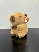 - Lara ~ 2025 Ty Beanie Bellie~ 6 Inch Capybara~ MWMT~ - $18.99