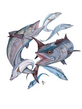 King Mackerel and Ribbonfish Decal Sticker for Laptop Car Window Cups Ma... - €6,02 EUR+