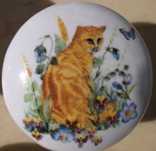 Cabinet Knobs w/ Kitten Orange Tabby in Flowers #1 - £4.06 GBP