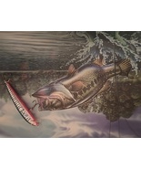 Bagley Bang O Lure BLSP4-BT Spin Tail  - $18.00