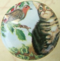 Cabinet Knobs w/ Kitten Gray Tabby &amp; Robin domestic - £4.06 GBP