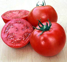 50 + Seeds  Balls Beefsteak Tomato Juicy Tomatoe Vegetable Garden Edible... - £6.91 GBP