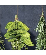 Botanical Black and Green Texture Vinyl Wallpaper samples  - $5.01 CAD