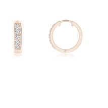 Authenticity Guarantee

ANGARA Natural 0.25 Ct Channel-Set Diamond Hoop Earri... - £596.10 GBP