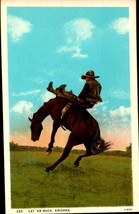 Vintage White Border -OLD Postcard &quot;Let &#39;er Buck, Arizona&quot; BK42 - £7.12 GBP