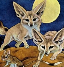 Fennec Fox Desert 1954 Art Print Paul Bransom Marlin Perkins Zooparade D... - £31.87 GBP