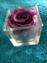 Infinity Flower In Small Glass Holder Approx 2&quot; has - £29.57 GBP