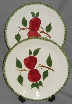 Set (2) Blue Ridge Quaker Apple Pattern Hand Painted Luncheon Plates Tennessee - £12.40 GBP