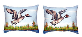 Pair of Betsy Drake Pintail Duck No Cord Pillows 16 Inch X 20 Inch - £63.49 GBP