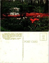 Indiana Michigan City Tulips In International Friendship Garden Vintage ... - £7.36 GBP