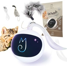 DIY N in 1 Pets Smart Electric Teaser, USB Rechargeable (White) - £35.04 GBP