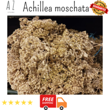 Organic Premium Dried Achillea moschata herbs عشبة ايخيليا مجففه - $23.39 CAD+