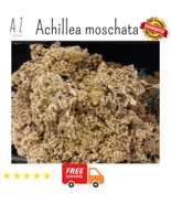 Organic Premium Dried Achillea moschata herbs عشبة ايخيليا مجففه - $23.42 CAD+