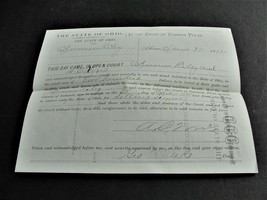 In the Court of Common Pleas- Signed Document, June, 1875: Summit County... - £14.90 GBP