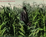 Vtg Postcard 1910s PNC - How Corn Grows in Merced County CA California -... - £16.89 GBP