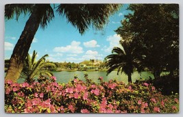 1964 Azaleas Beside Mirror Lake St Petersburg FL Colorful Bloom Vintage Postcard - £11.14 GBP