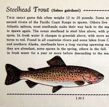 Steelhead Trout 1939 Fresh Water Fish Art Gordon Ertz Color Plate Print ... - £23.59 GBP