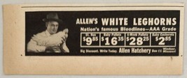1947 Print Ad Allen&#39;s White Leghorns AAA Grade Chicken Allen Hatchery Windsor,MO - £7.26 GBP