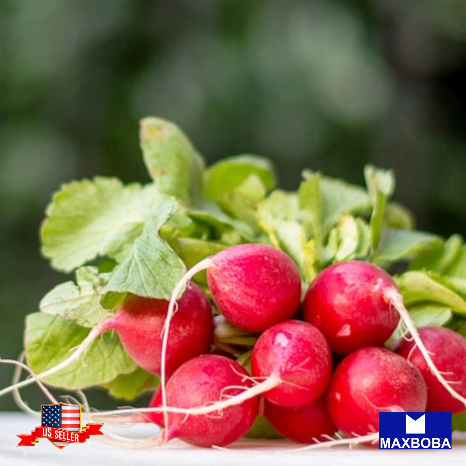 Radish Seeds Crayon Colors Mix Non-GMO Heirloom - $3.87