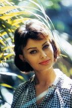 Sophia Loren, beautiful pose by palm tree 4x6 photo - £3.72 GBP